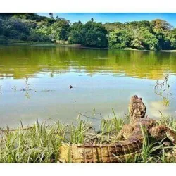 El Cove - San Andres