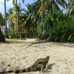 Johnny Cay Natural Regional Park - San Andres