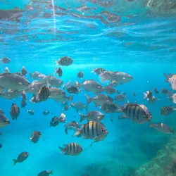 West View - San Andres