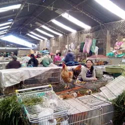 Mercado de Pasto - San Juan de Pasto