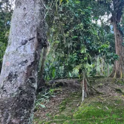 Ciudad Perdida (The Lost City) - Santa Marta