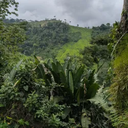 Ciudad Perdida (The Lost City) - Santa Marta