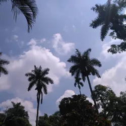 Parque Principal Santander de Quilichao - Santander de Quilichao