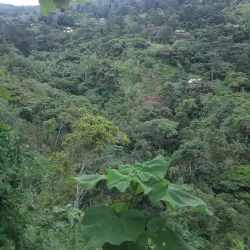 Reserva Natural La Paila - Santander de Quilichao