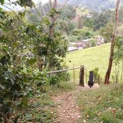 Reserva Natural La Paila - Santander de Quilichao