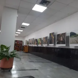 Casa de la Cultura de Sincelejo - Sincelejo