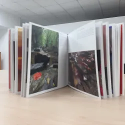 Casa de la Cultura de Sincelejo - Sincelejo