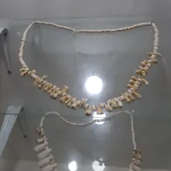 Museo Arqueológico de Sincelejo - Sincelejo