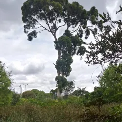 Parque Ecológico La Vaca - Soacha