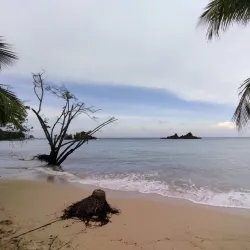 Barrio La Playa - Soledad