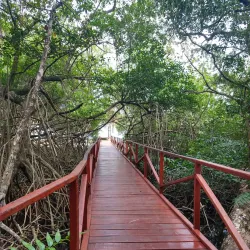 Barrio La Playa - Soledad
