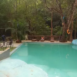 Festival de la Cumbia - Soledad