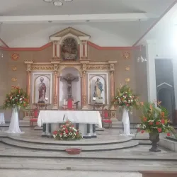 Iglesia San Pedro Apóstol - Tulua