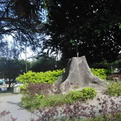 Parque de los Fundadores - Tulua