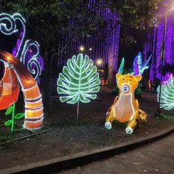 Parque de los Fundadores - Tulua