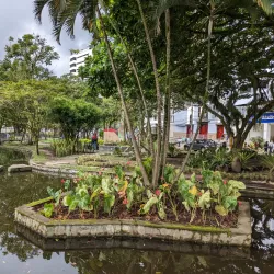 Parque de los Fundadores - Tulua