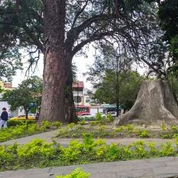 Parque de los Fundadores - Tulua