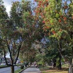 Parque de los Fundadores - Tulua