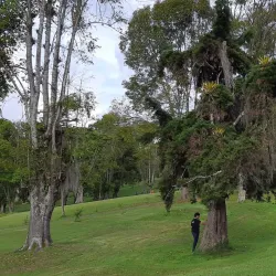 Parque Natural El Prado - Tunja