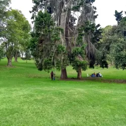Parque Natural El Prado - Tunja