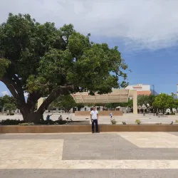 Plaza Alfonso López - Valledupar