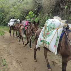 Sierra Nevada de Santa Marta - Valledupar