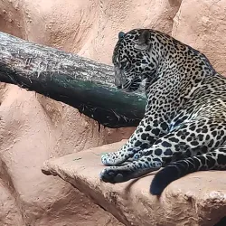 Bioparque Los Ocarros - Villavicencio