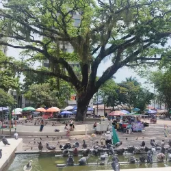 Catedral Nuestra Señora del Carmen - Villavicencio