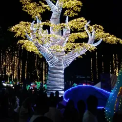 Parque Los Fundadores - Villavicencio