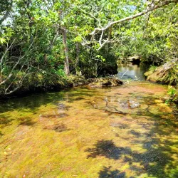 Reserva Natural Caño Cristales - Villavicencio