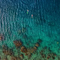 Coral Reefs off Tsidje Coast - Tsidje