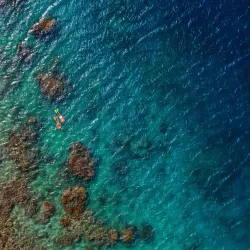 Coral Reefs off Tsidje Coast - Tsidje