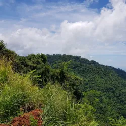 Carara National Park - Acosta