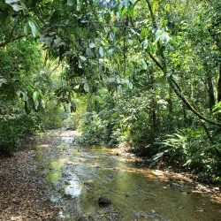 Carara National Park - Acosta