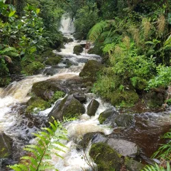 Cerro Dantas - Acosta