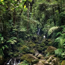 Cerro Dantas - Acosta