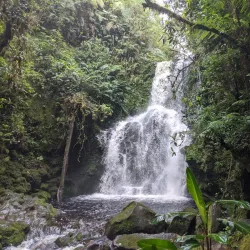 Cerro Dantas - Acosta