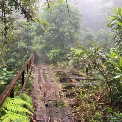 Cerro Dantas - Acosta