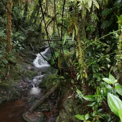 Cerro Dantas - Acosta