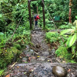 Cerro Dantas - Acosta