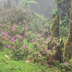 Cerro Dantas - Acosta