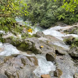 El Rodeo Waterfall - Acosta
