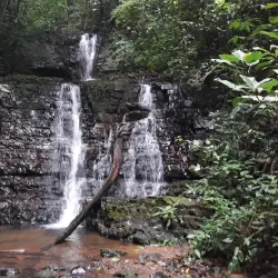 La Cangreja National Park - Acosta