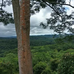 La Cangreja National Park - Acosta
