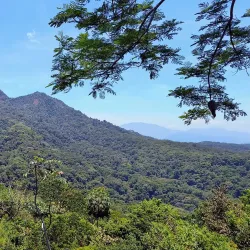 La Cangreja National Park - Acosta