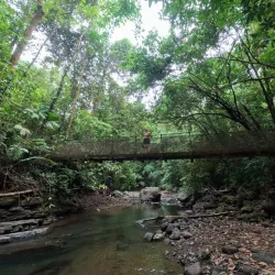 La Cangreja National Park - Acosta