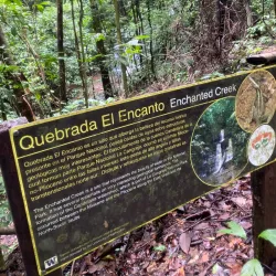 La Cangreja National Park - Acosta