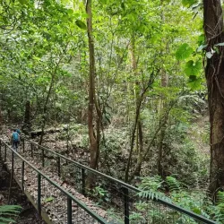 La Cangreja National Park - Acosta