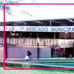 Local Artisan Markets - Acosta