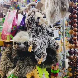 Local Artisan Markets - Acosta